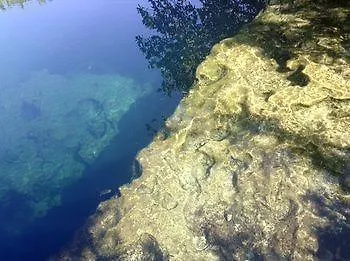 Cenote El Encanto Hotel Tulum Mexico